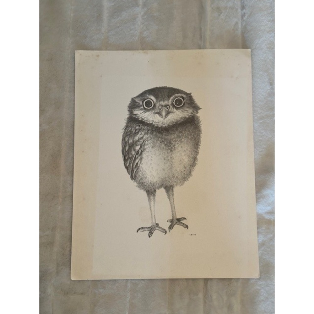 Vintage Owl Chick Sketch Print by Smith Wide Eyed Bird Art Illustration Cream